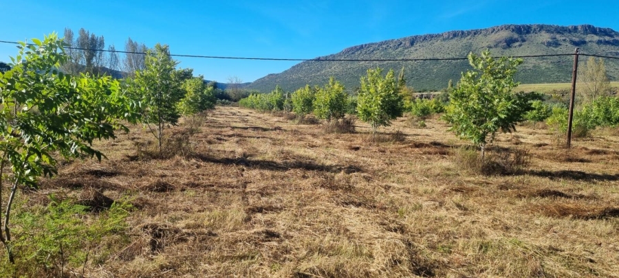 4 Bedroom Property for Sale in Queenstown Rural Eastern Cape